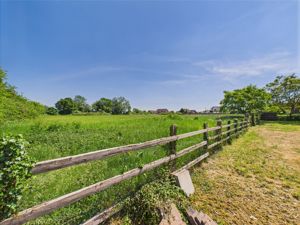 Paddock- click for photo gallery